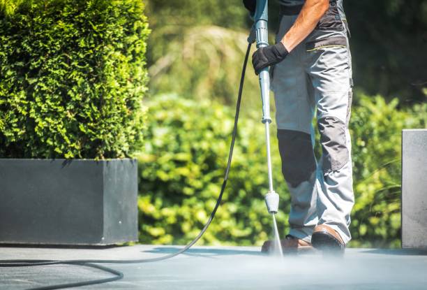 Best Restaurant Pressure Washing  in Hidalgo, TX