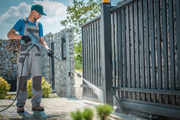 Best Roof Washing  in Hidalgo, TX