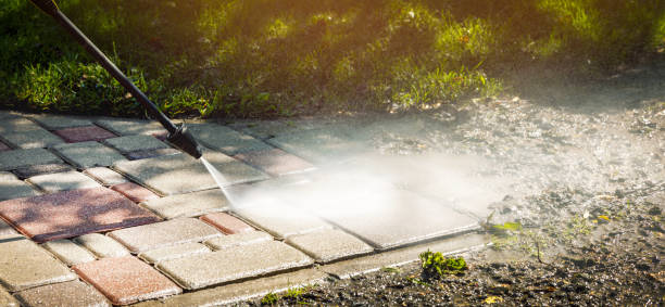 Best Fence Cleaning  in Hidalgo, TX