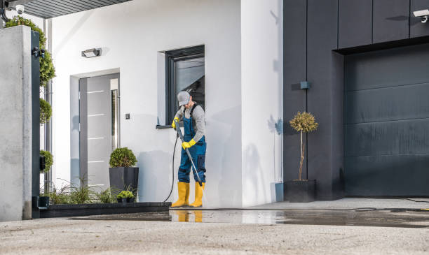 Best Graffiti Removal  in Hidalgo, TX